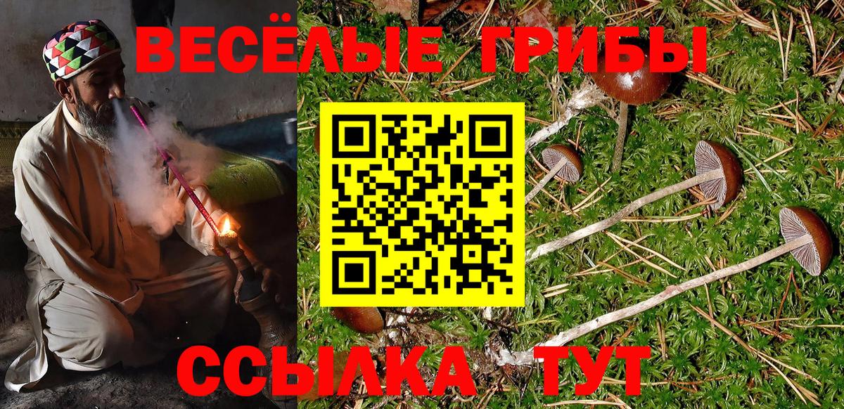 Верхний Уфалей  Галлюциногенные грибы GOLDEN TEACHER  Вход с VPN 